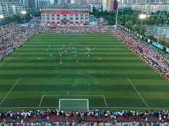 罗马诺,罗马诺执教,欧联杯对澳,香港赛马,赛程安排,赛果分析,马匹资料,赛事动态