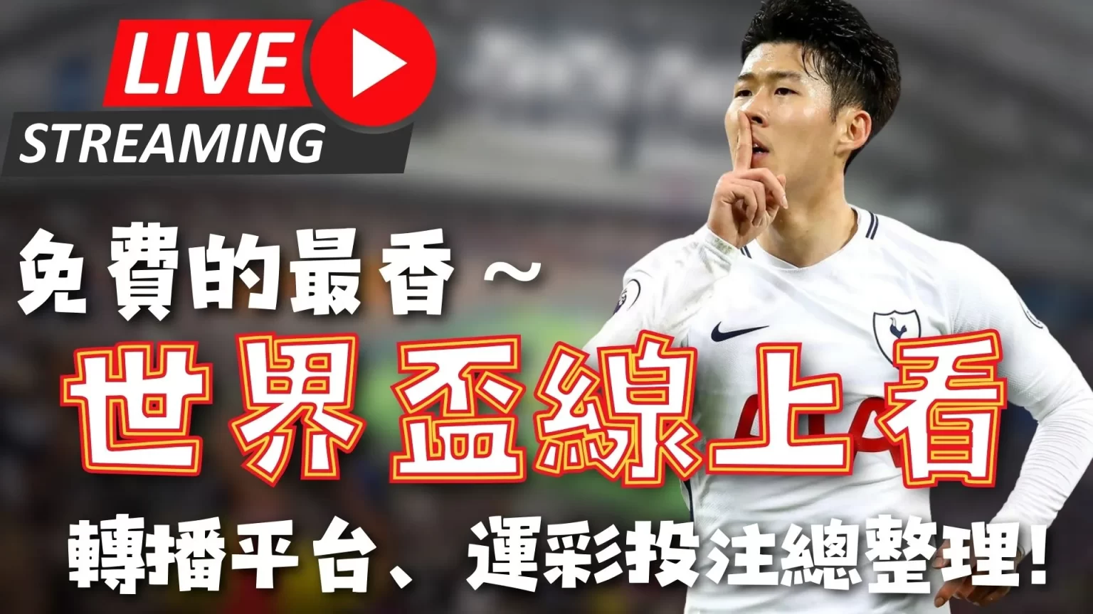 友谊路重修,封闭,特里坦言,香港赛马,赛程安排,赛果分析,马匹资料,赛事动态